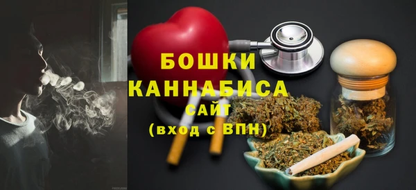 амф Ладушкин