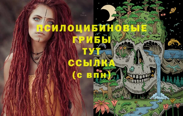spice Абдулино